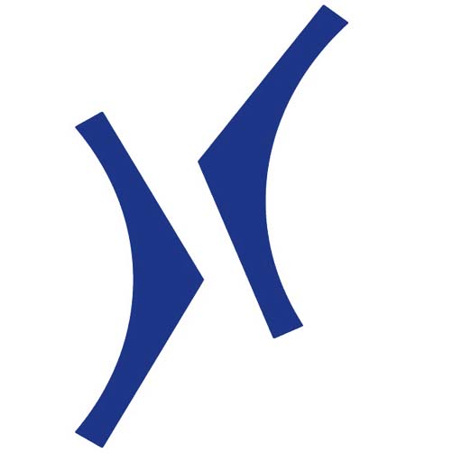 تاریخچه شرکت کرونس